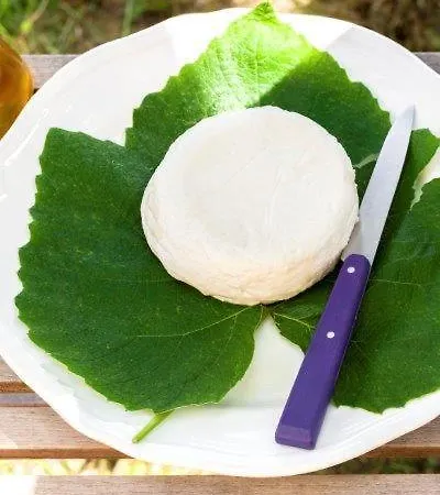 Agriturismo La Selva