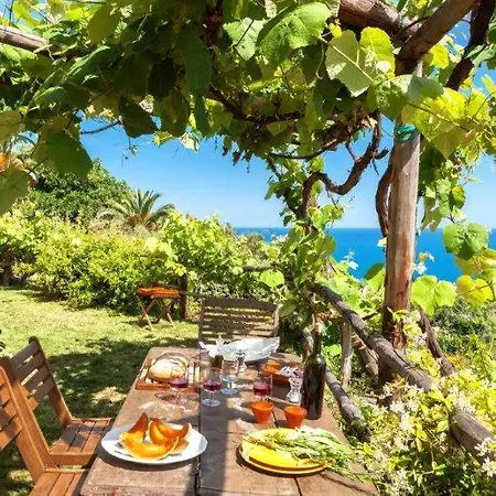 Agriturismo La Selva