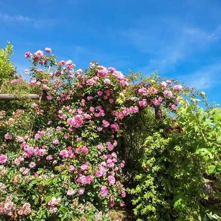 Agriturismo La Selva