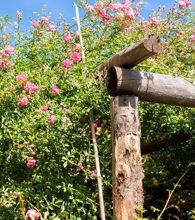 Agriturismo La Selva * Finale Ligure