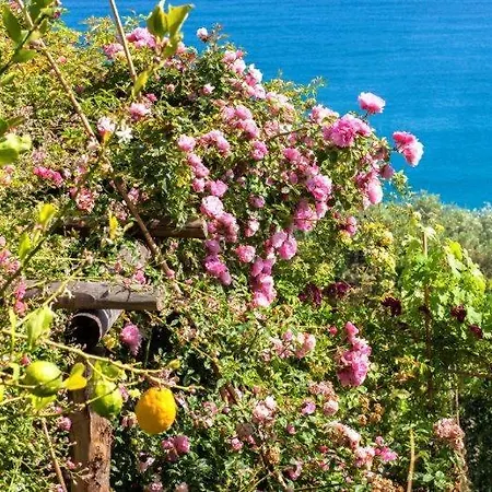 Agriturismo La Selva