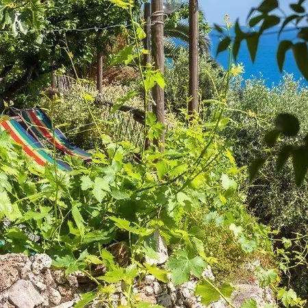 Çiftlik konaklama Agriturismo La Selva