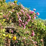 Agriturismo La Selva