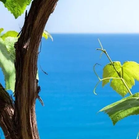 Agriturismo La Selva *