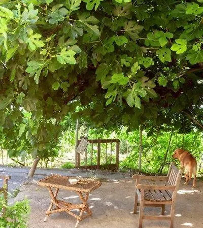 Farm stay Agriturismo La Selva Finale Ligure