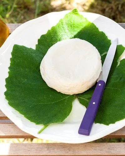 Agriturismo La Selva