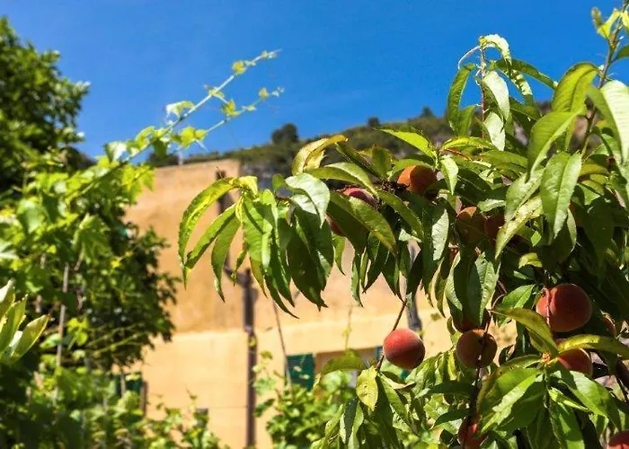 Agriturismo La Selva Alloggio per agriturismo *