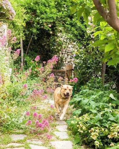 Agriturismo La Selva 팜스테이 *