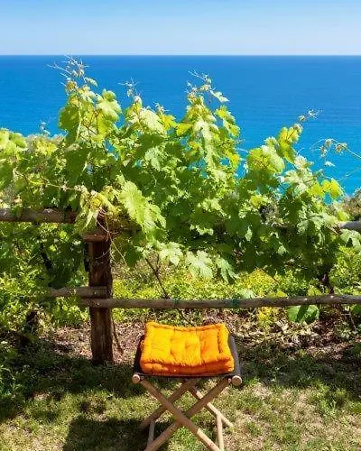 Agriturismo La Selva 팜스테이