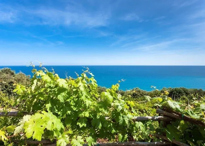 Agriturismo La Selva 팜스테이 피날레리구레