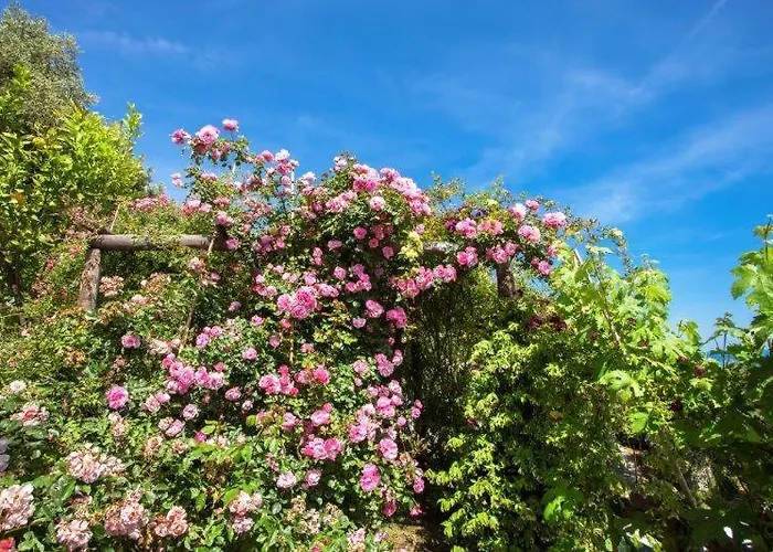 Agriturismo La Selva