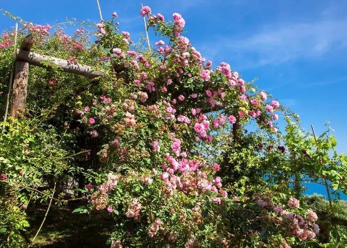 Agriturismo La Selva * 피날레리구레