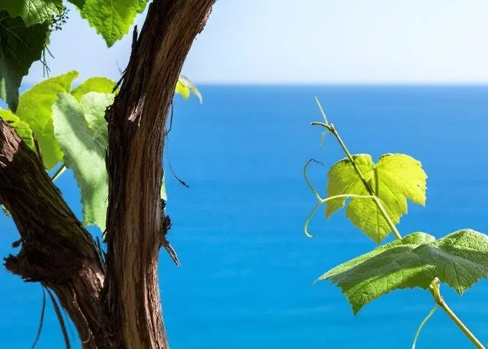 Agriturismo La Selva *