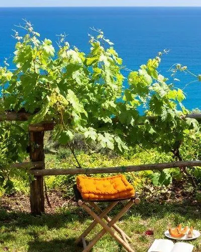 Alloggio per agriturismo Agriturismo La Selva *