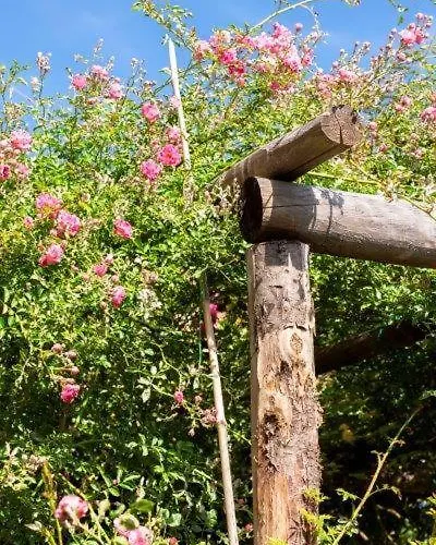 Agriturismo La Selva * פינאלה ליגורה