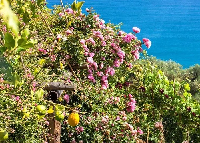 Agriturismo La Selva