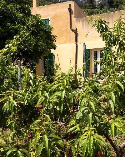 Agriturismo La Selva בית חווה