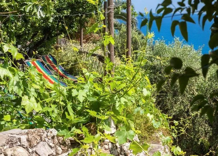בית חווה Agriturismo La Selva