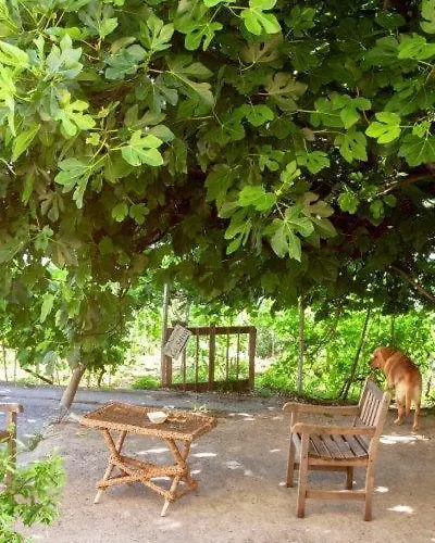 팜스테이 Agriturismo La Selva 피날레리구레